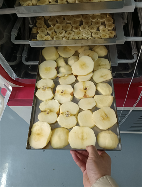 使用化妝品凍干機(jī)對(duì)面膜進(jìn)行凍干具體有哪些步驟？