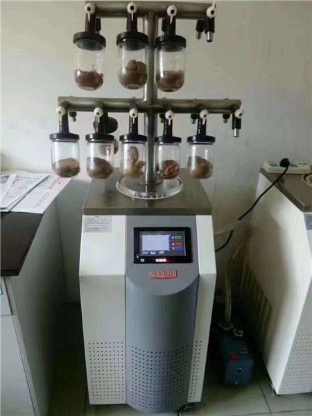 實(shí)驗(yàn)室冷凍干燥機(jī)在藥品開發(fā)中的重要性